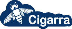 Cigarra